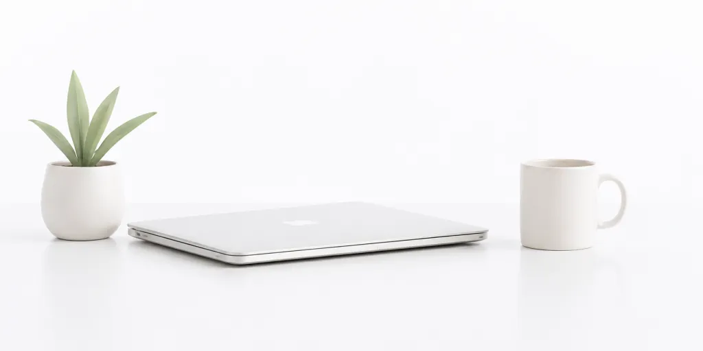 Przestrzeń pracy FinoWeb — laptop, roślina i kubek